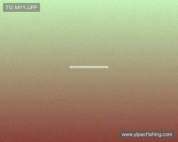 星欧娱乐平台提供全方位的世界杯赛事数据统计与分析报告 星欧娱乐平台提供全方位的世界杯赛事数据统计与分析报告
